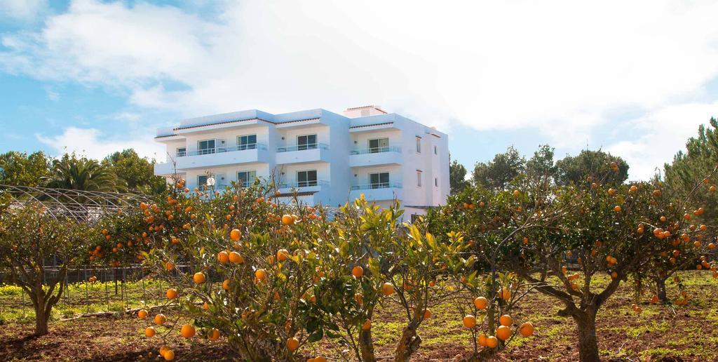 Sunset Oasis Ibiza Adults Only - New Rooms 2025 サンアントニオアバド エクステリア 写真