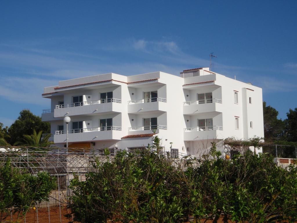 Sunset Oasis Ibiza Adults Only - New Rooms 2025 サンアントニオアバド エクステリア 写真